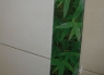dsc07894