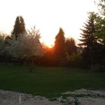 Abendstimmung im April: Blick über Nachbars Grundstück gen Westen Abendstimmung im April: Blick über Nachbars Grundstück gen Westen