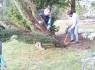 p1050562